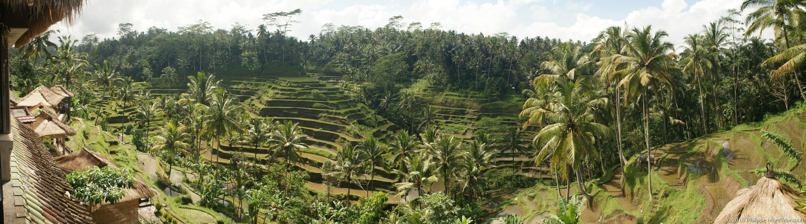 /ecran/Indonesie_2010_1650.jpg