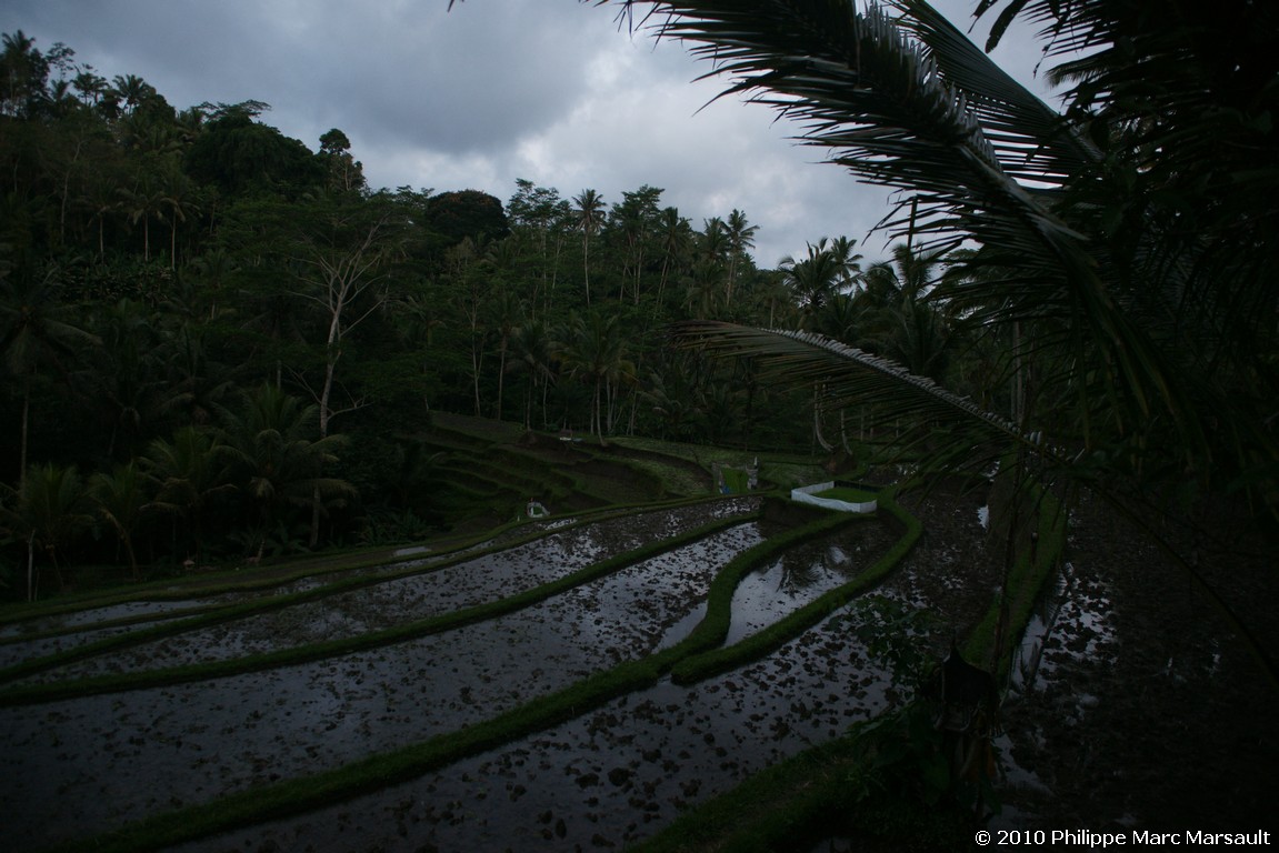 /ecran/Indonesie_2010_1774.jpg