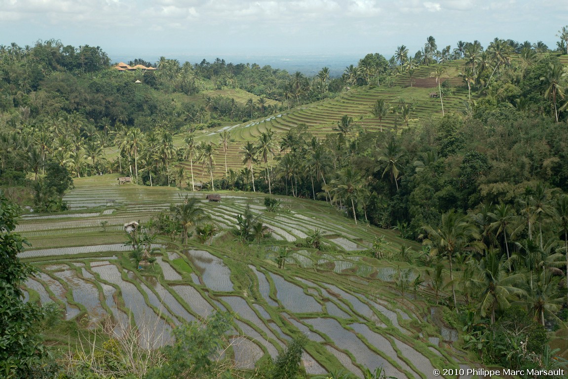 /ecran/Indonesie_2010_1851.jpg