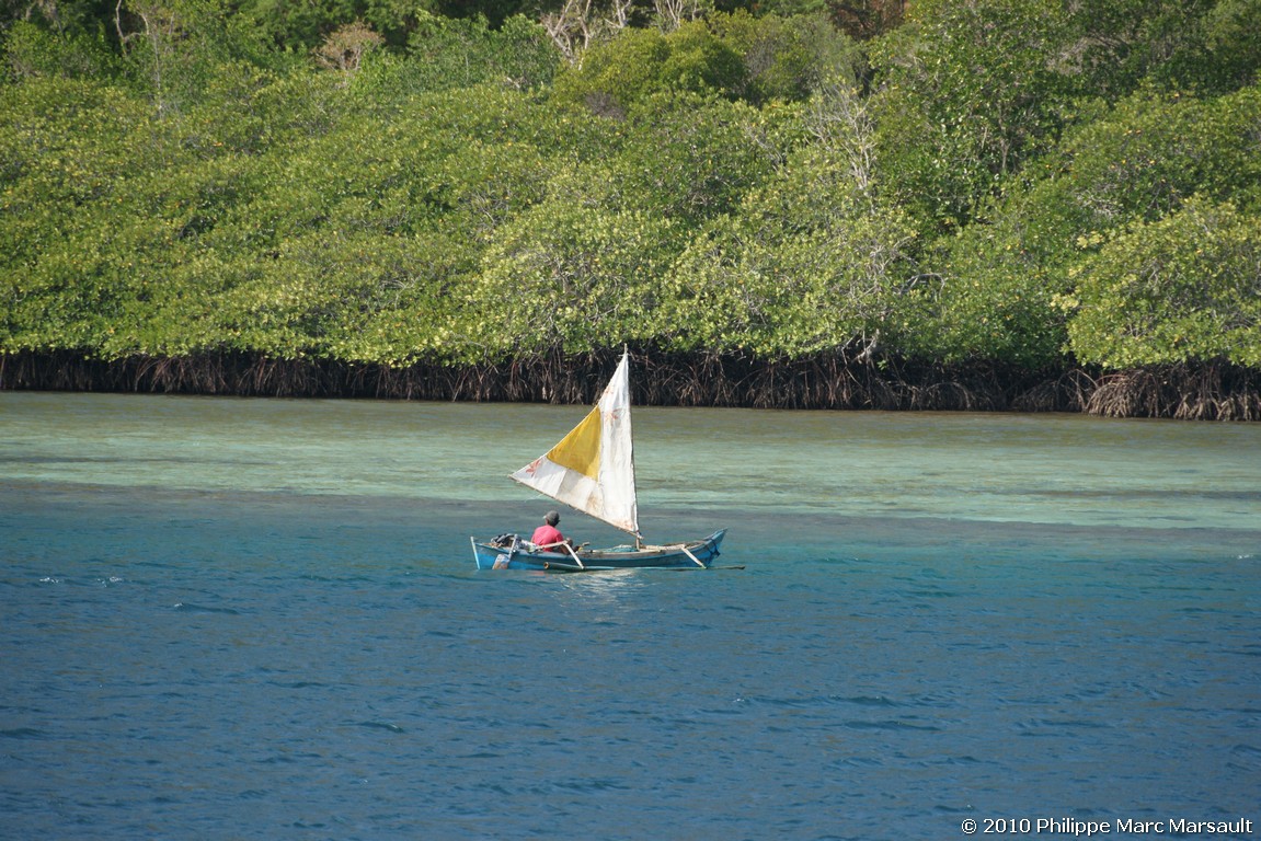 /ecran/Indonesie_2010_2032.jpg