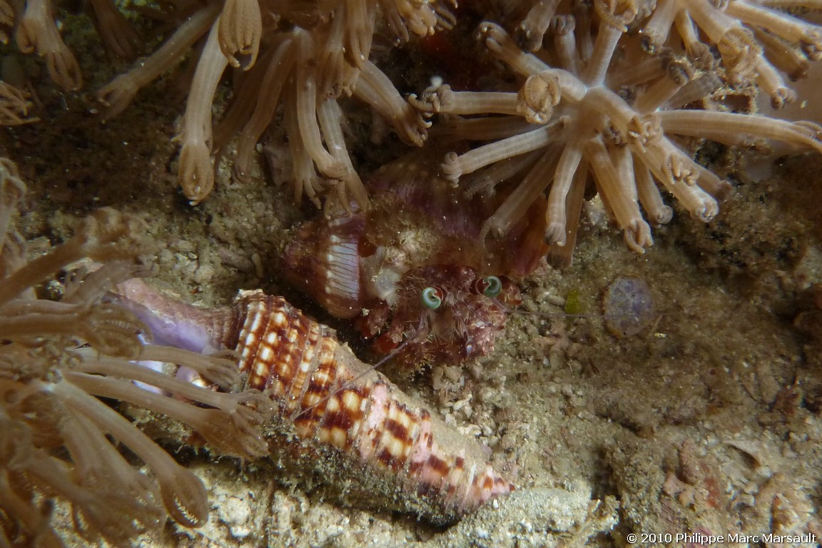 /ecran/Indonesie_2010_2115.jpg