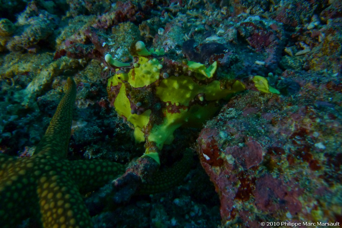 /ecran/Indonesie_2010_2606.jpg