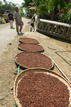 vignette Indonesie_2010_0161.jpg 