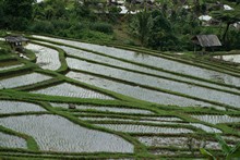 vignette Indonesie_2010_1819.jpg 