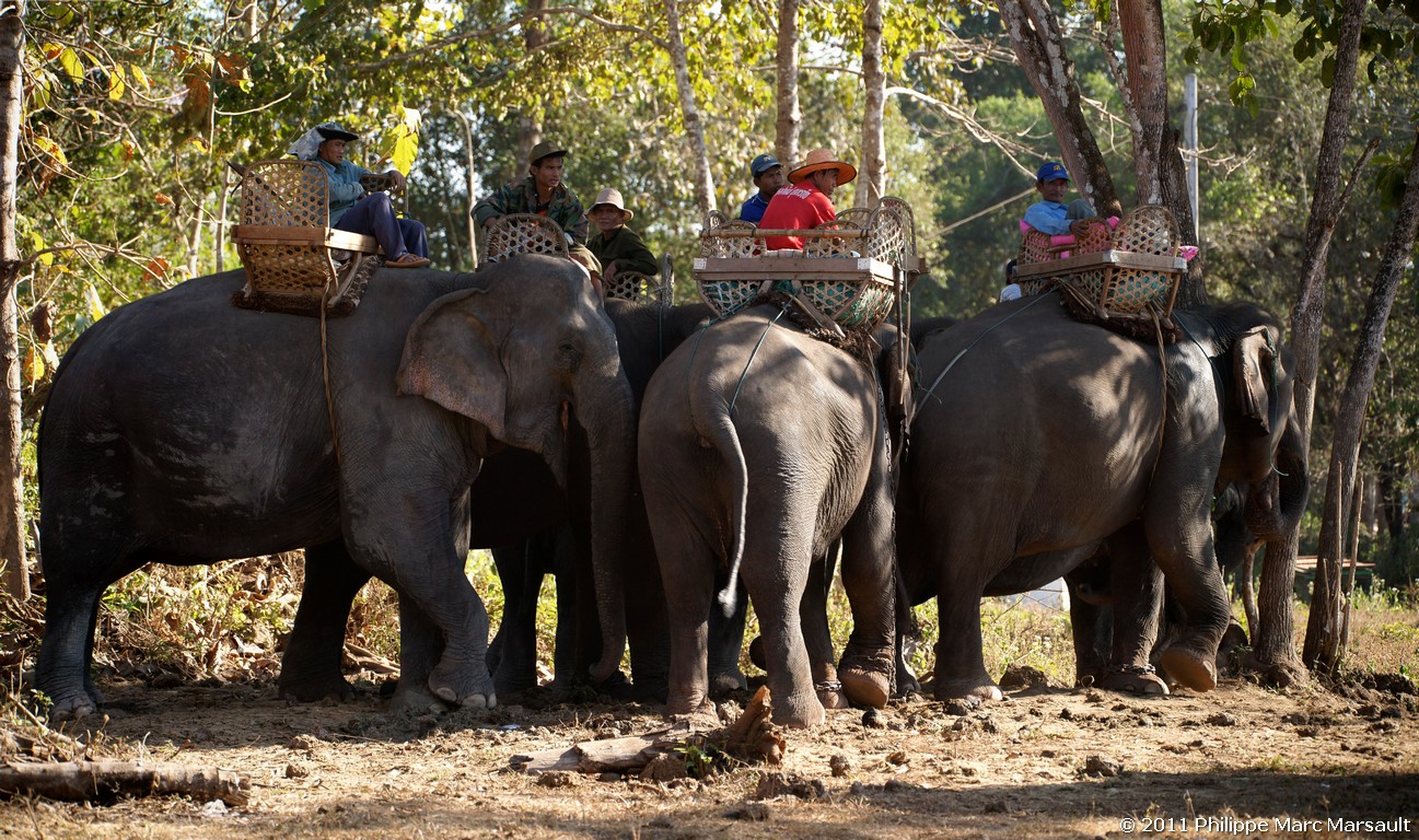 /ecran/Laos_0716.jpg