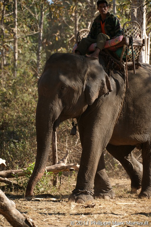 /ecran/Laos_0721.jpg