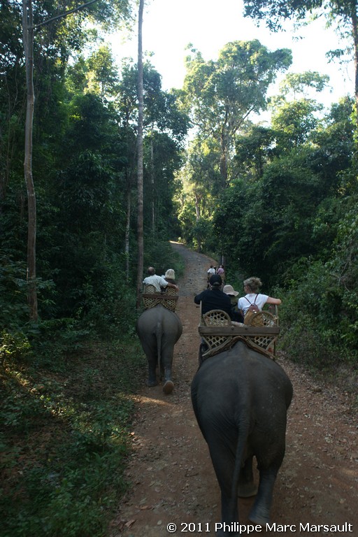 /ecran/Laos_0726.jpg