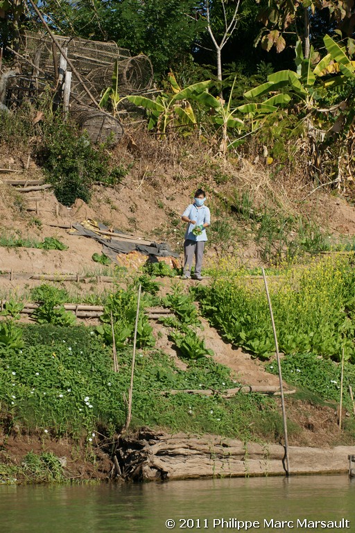 /ecran/Laos_0752.jpg