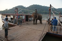 vignette Laos_0231.jpg 