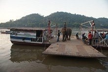 vignette Laos_0232.jpg 