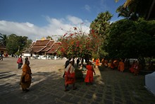 vignette Laos_0281.jpg 