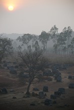 vignette Laos_0467.jpg 