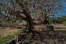 vignette Laos_0656.jpg 