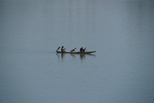 vignette Laos_0701.jpg 