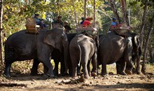 vignette Laos_0716.jpg 