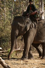 vignette Laos_0721.jpg 