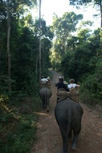 vignette Laos_0726.jpg 