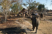 vignette Laos_0732.jpg 