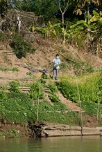 vignette Laos_0752.jpg 