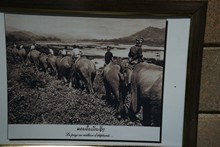 vignette Laos_0844.jpg 