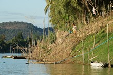 vignette Laos_0880.jpg 