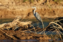 vignette Laos_0888.jpg 