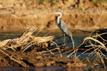 vignette Laos_0888.jpg 