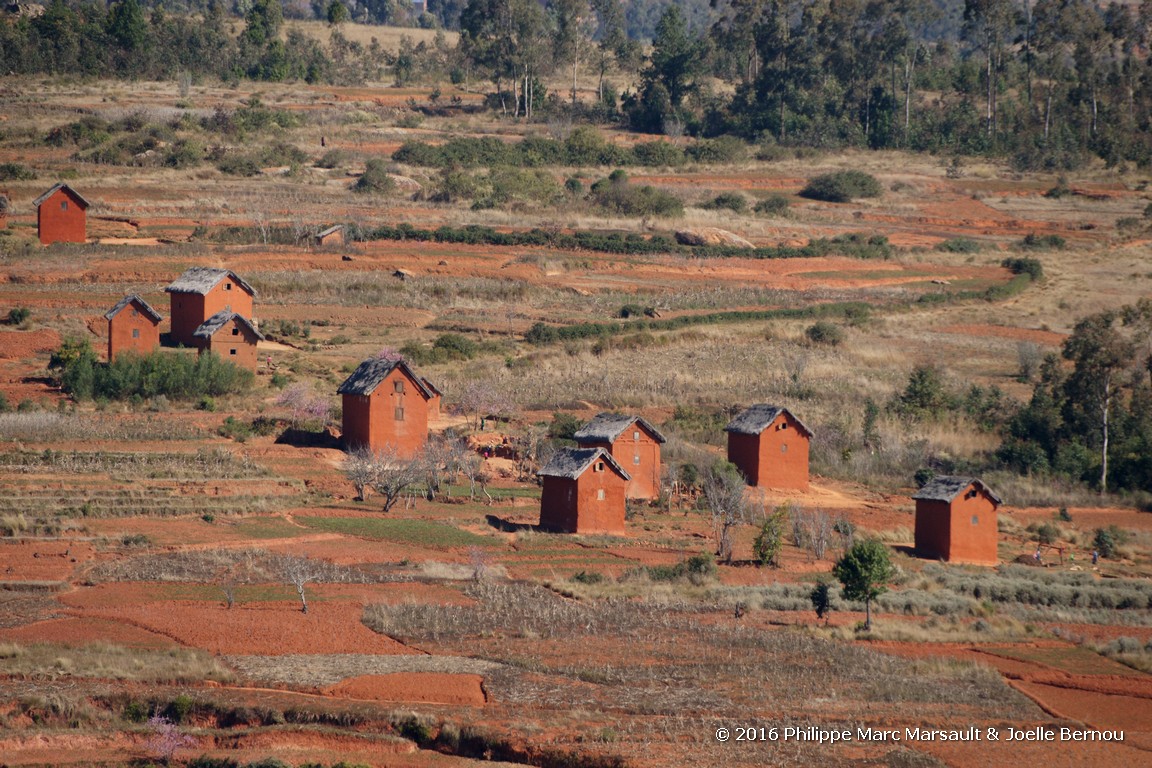 /ecran/Madagascar_2016_0156.jpg