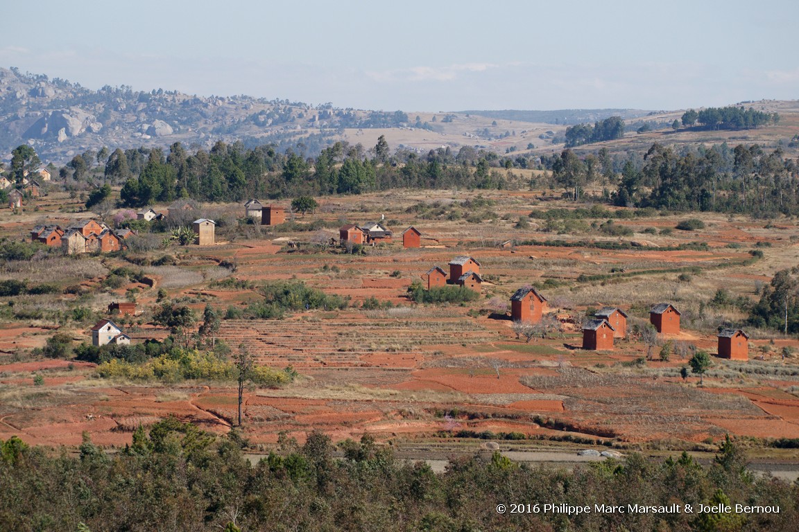 /ecran/Madagascar_2016_0157.jpg