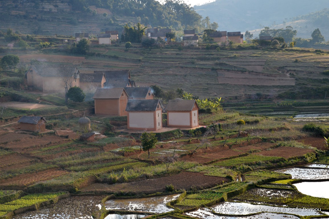 /ecran/Madagascar_2016_0184.jpg