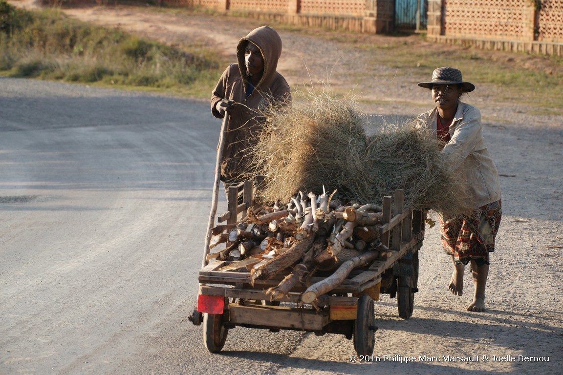 /ecran/Madagascar_2016_0198.jpg