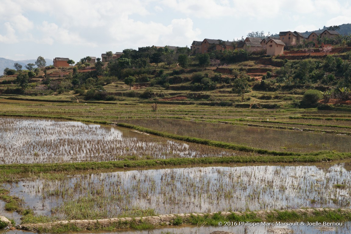 /ecran/Madagascar_2016_0288.jpg