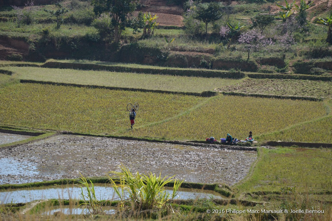 /ecran/Madagascar_2016_0293.jpg