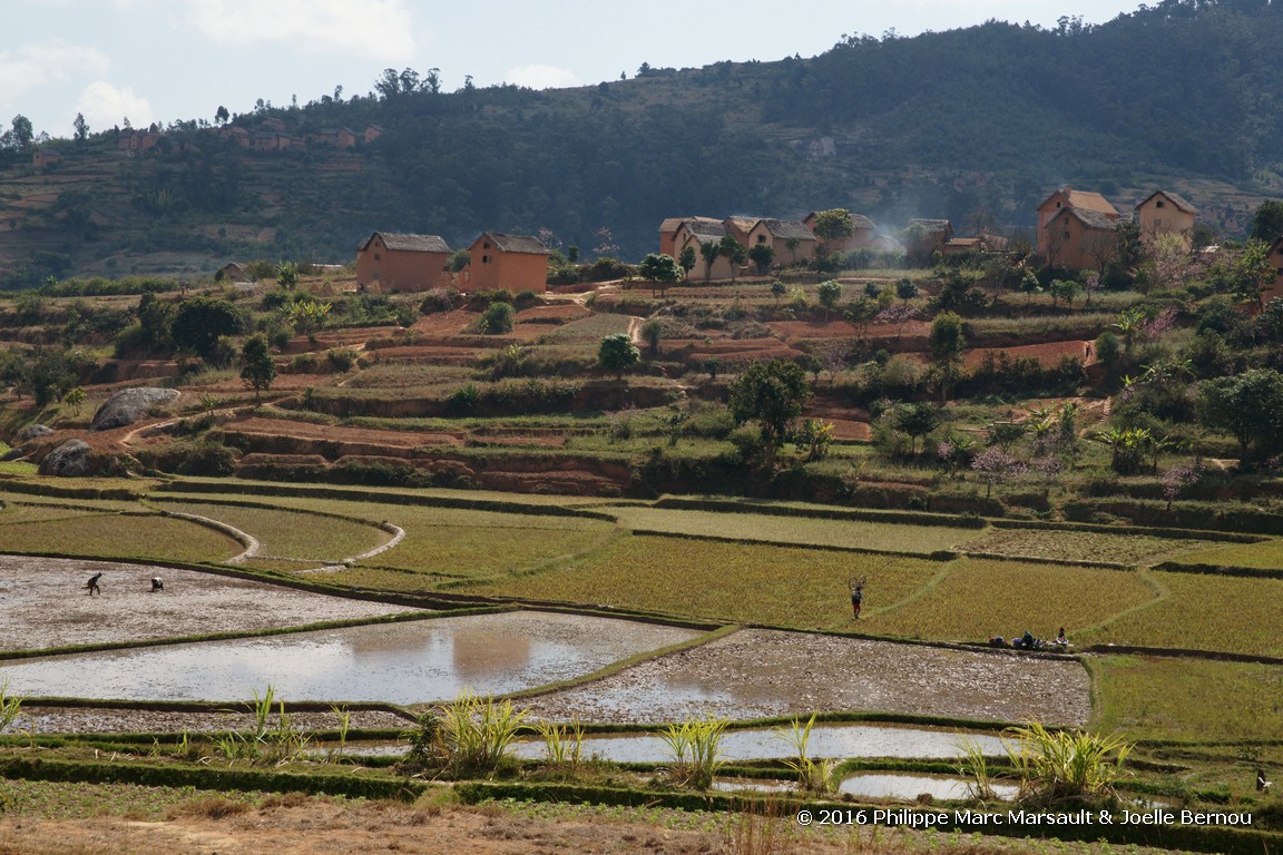 /ecran/Madagascar_2016_0295.jpg