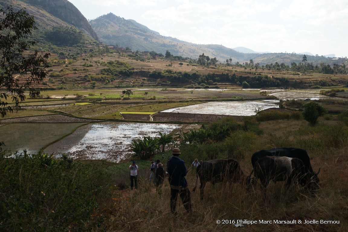 /ecran/Madagascar_2016_0371.jpg