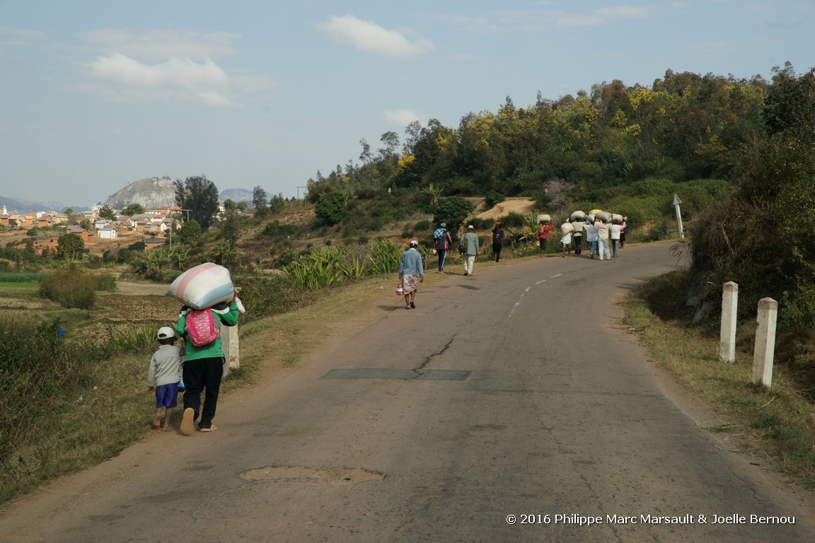 /ecran/Madagascar_2016_0396.jpg