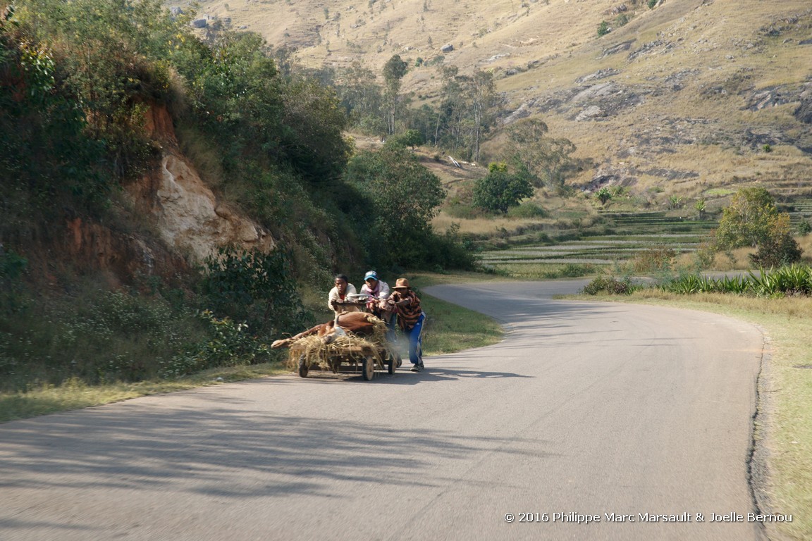 /ecran/Madagascar_2016_0401.jpg