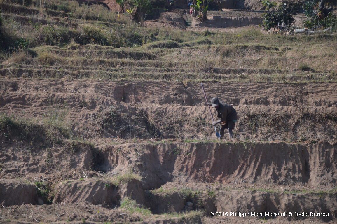 /ecran/Madagascar_2016_0414.jpg