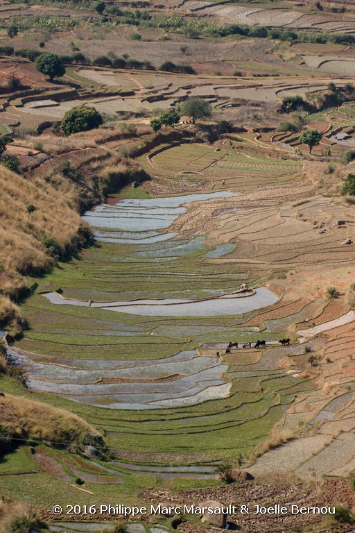 /ecran/Madagascar_2016_0424.jpg