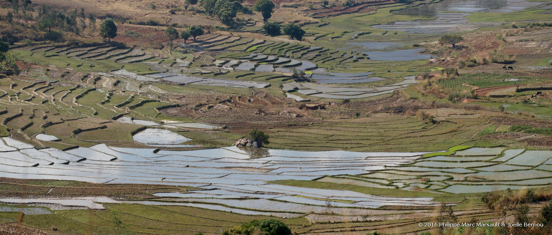 /ecran/Madagascar_2016_0432.jpg