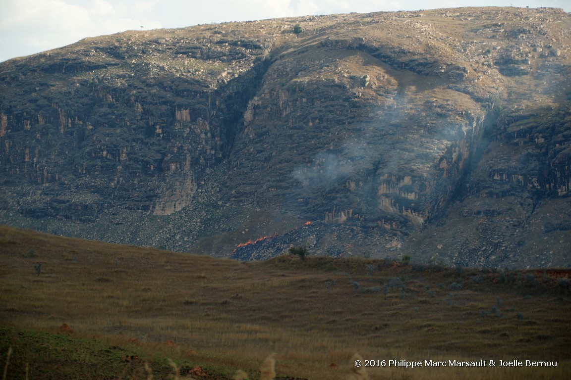 /ecran/Madagascar_2016_0492.jpg