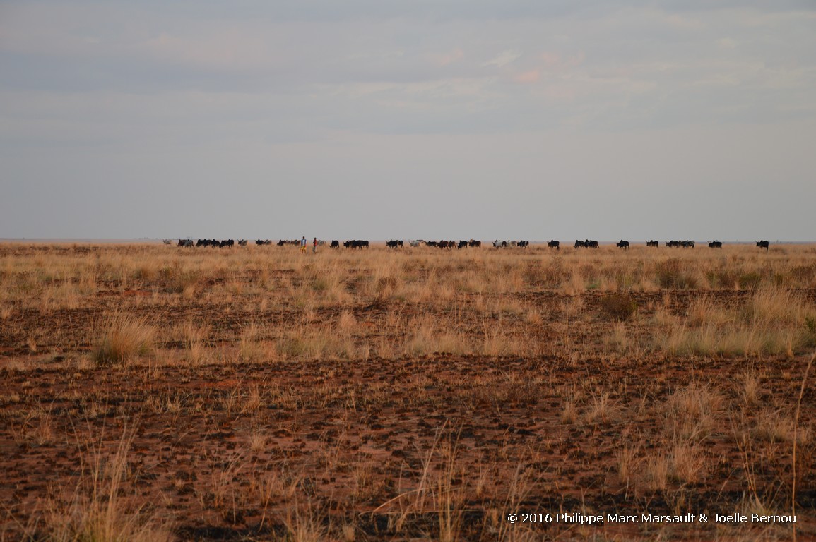 /ecran/Madagascar_2016_0500.jpg