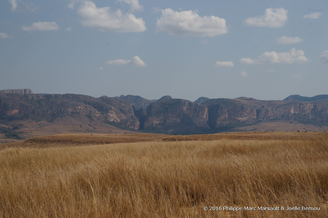 /ecran/Madagascar_2016_0533.jpg