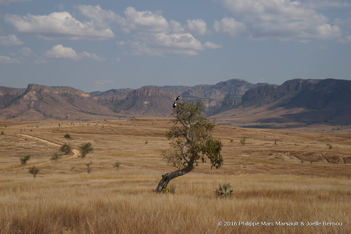 /ecran/Madagascar_2016_0534.jpg