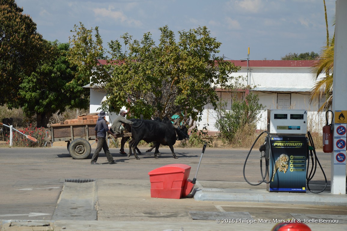 /ecran/Madagascar_2016_0539.jpg