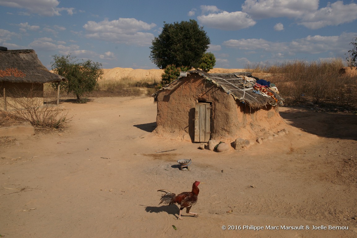 /ecran/Madagascar_2016_0626.jpg