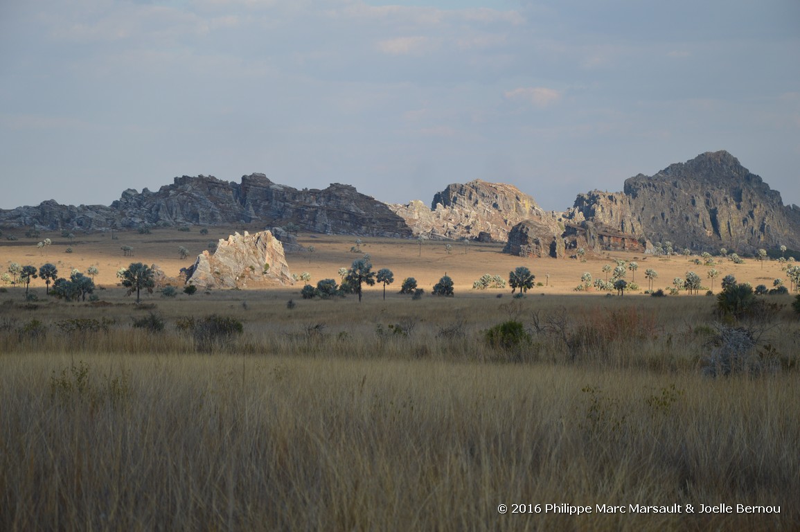 /ecran/Madagascar_2016_0670.jpg