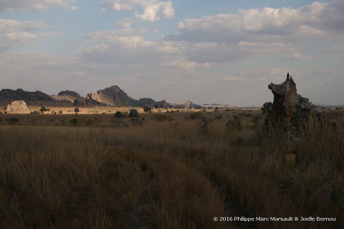 /ecran/Madagascar_2016_0671.jpg