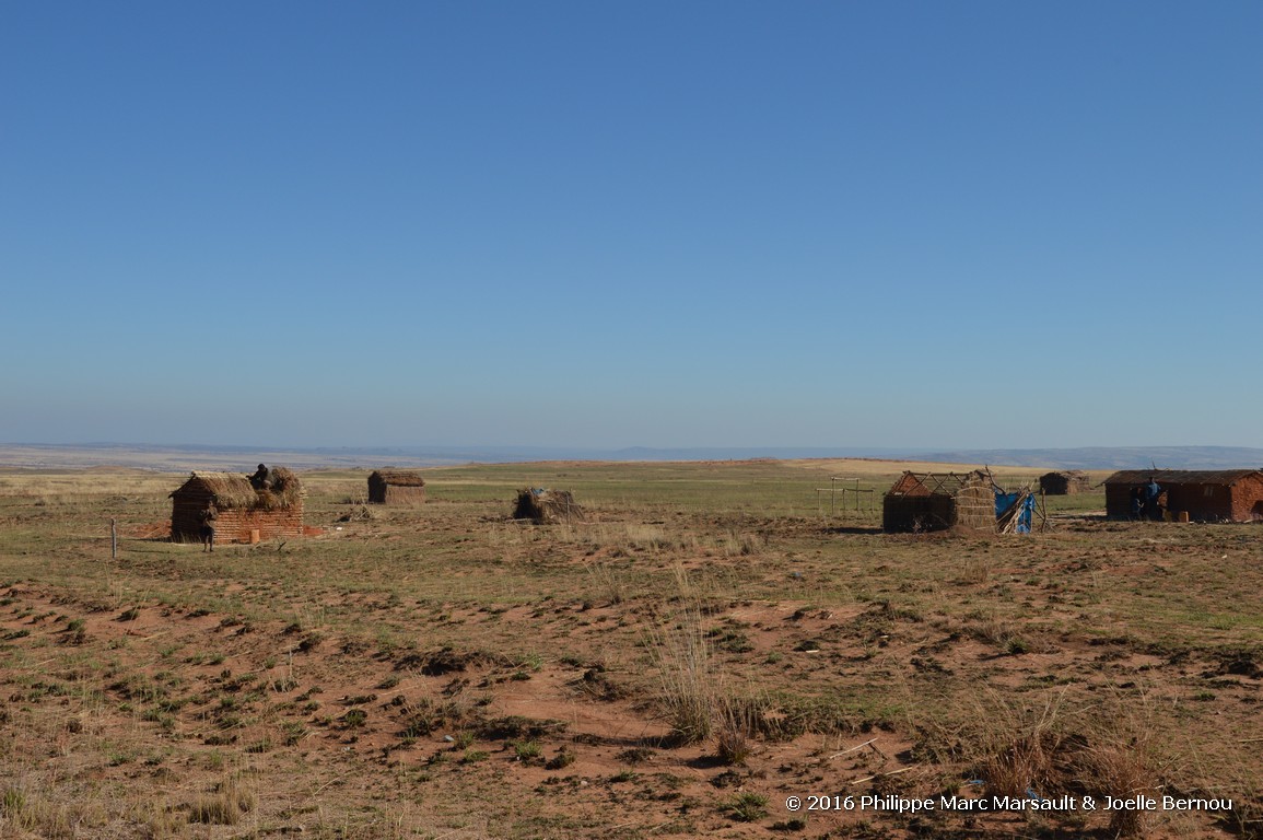 /ecran/Madagascar_2016_0856.jpg