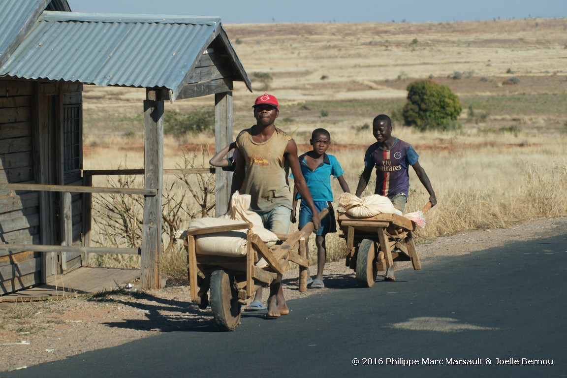 /ecran/Madagascar_2016_0861.jpg